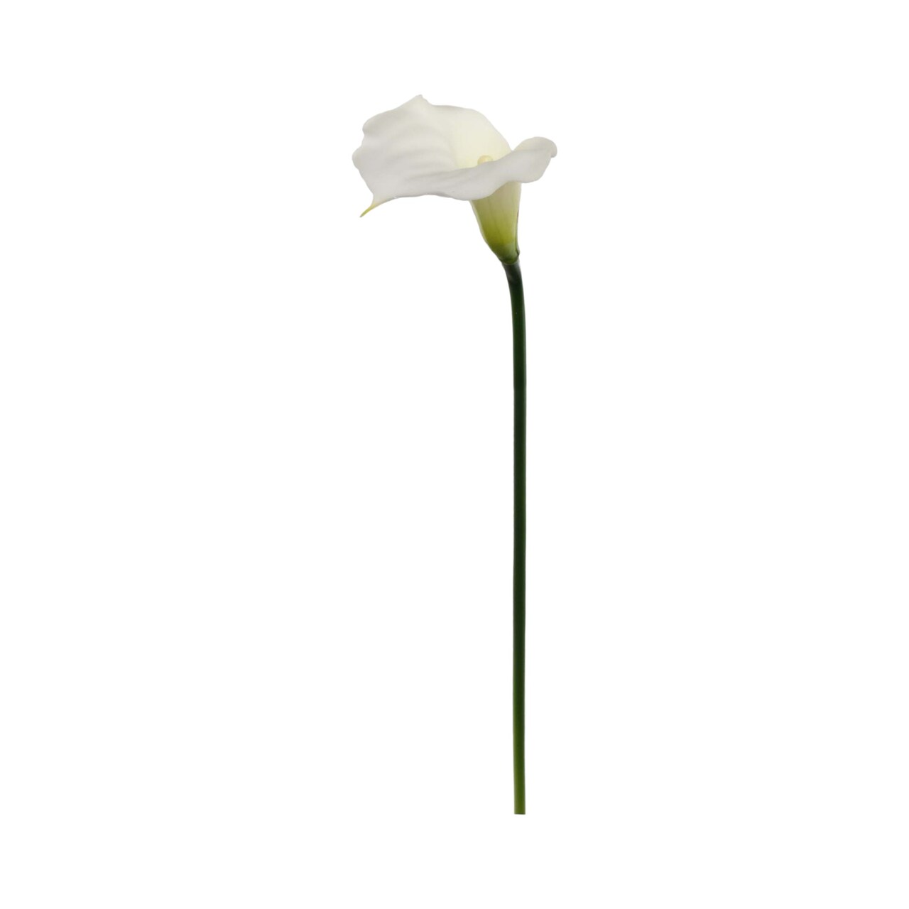 20" Cream Calla Lily Stem - 24-Pack, Real Touch Blooms, Elegant Floral Décor, Perfect for Arrangements, Events & Home - Ideal for All Seasons, Floral Home by Artificial Flowers